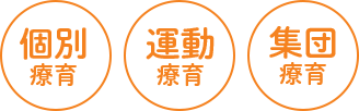 個別療育・運動療育・集団療育